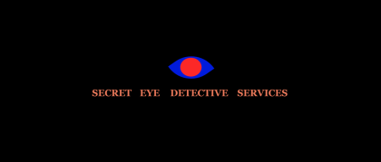 Secret Eye Detective Service