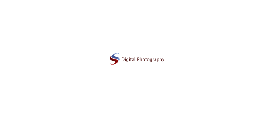 SS DIGITAL PHOTOGRAPHY