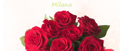 MILANA Decorator