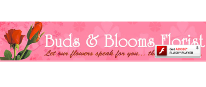 Buds & Blooms Florist
