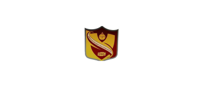 Vigil Security Services