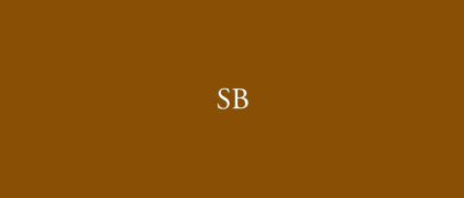 Stylish Bazaar