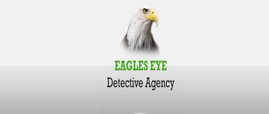 Eagle's Eye Detective Agency