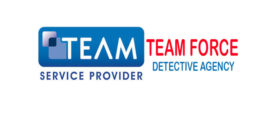 Team Force Detective Agency